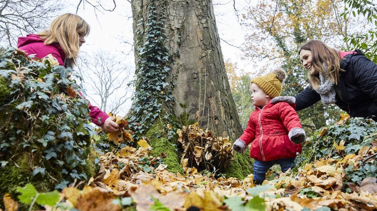 Adults and toddler playing amongst autumn leaves